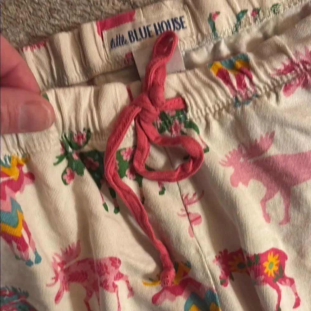 Moose 🫎 Colorful Print Shorts - Picture 4 of 7